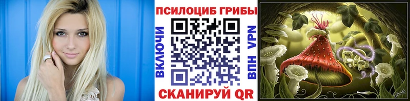Купить где  Димитровград  Псилоцибиновые грибы ЛСД 